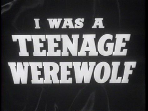 I Was A Teenage Werewolf, Sarah Andersen, Howleen Wolf, Teenage Werewolf, Home Background, Werewolf Aesthetic, Catty Noir, Teen Tv, Scott Mccall