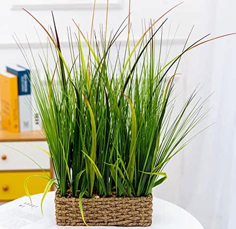 Amazon.com: farmhouse decor plants for living room Fig Tree Plant, Woven Planter, Fig Plant, Artificial Topiary, Faux Grass, Living Room Plants, Fern Plant, Leaf Texture, Wheat Grass