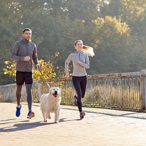 Be fit and healthy so you can enjoy life #wellnesswednesday #maximfit Cat Illnesses, Running Partner, Running Buddies, Start Running, Dog Safety, Pet Insurance, Healthy Pets, Pet Care Tips, Dog Runs