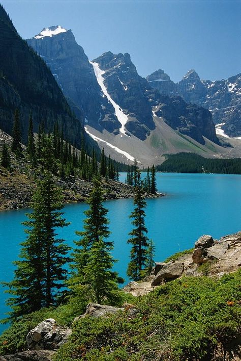 Relaxing Forest, Lac Moraine, I Am Good, Forest Sounds, Scenic Pictures, Moraine Lake, Forest Nature, Nature Sounds, Cool Landscapes