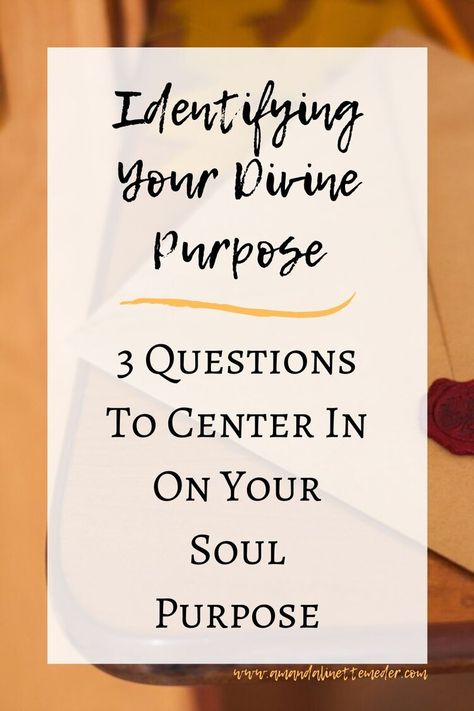 Divine Destiny, Finding Purpose In Life, Purpose Quotes, Find Your Soul, Divine Purpose, Mark Smith, Soul Contract, Soul Purpose, My Purpose In Life