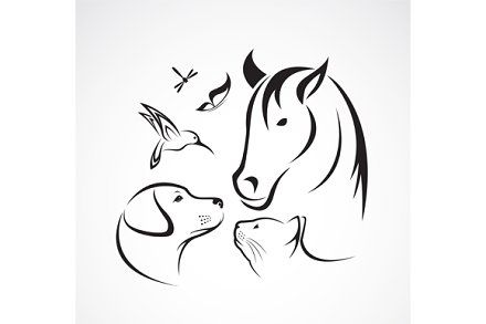 Horse Dog And Cat Tattoo, Horse Dog Cat Tattoo, Writer Tattoo, Horse Tattoo, Cat Tattoo, Tattoo Ideas, Dog Cat, Horses, Pet