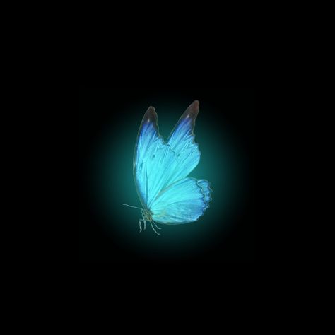 Lightning Images, Red Color Background, Broken Screen Wallpaper, Iphone Wallpaper Classy, Nature Art Drawings, Black Background Photography, Butterfly Background, Green Background Video, Drawing People Faces