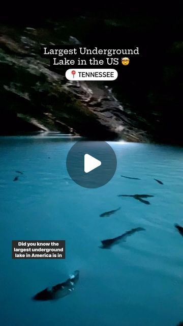 Lost Sea Tennessee Caves, Sweetwater Tn, Underground Lake, Travel Tennessee, Cool Facts, Sea Adventure, Guinness Book Of World Records, Cave Tours, Vacation Locations