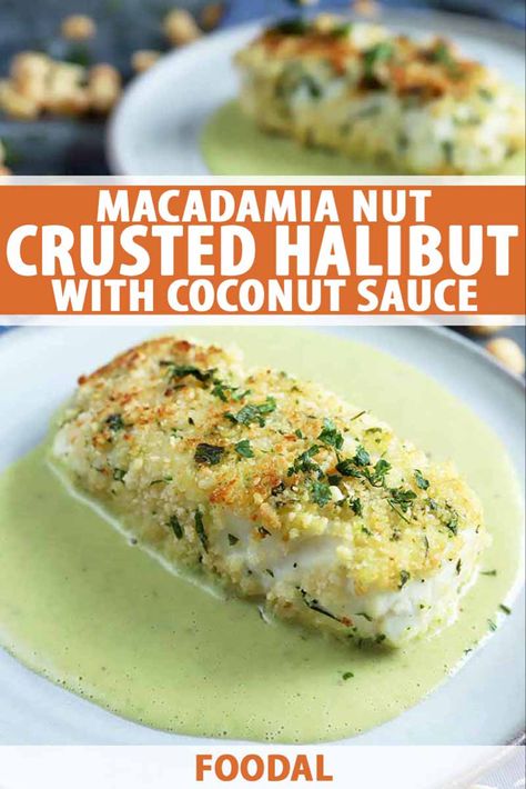 Easy Fish Dinners, Crusted Halibut, Halibut Recipes, Dishes To Make, Coconut Sauce, Dinner Party Recipes, Fish Dinner, Macadamia Nut, Seafood Dinner