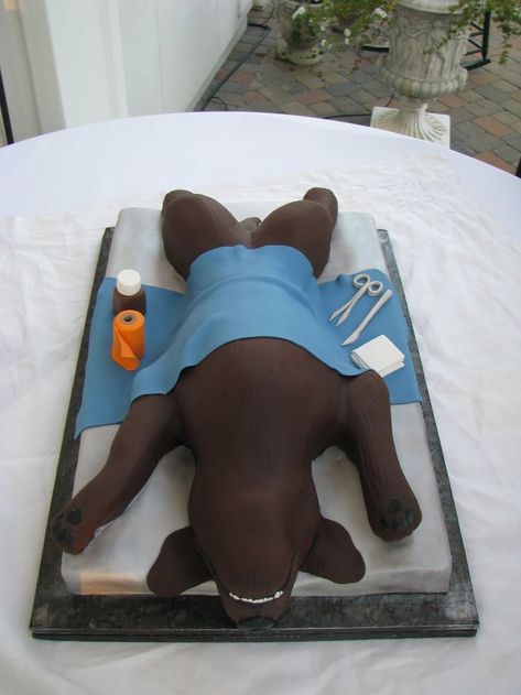 cake of dog on surgery table for spay or abdominal exploratory. #veterinary #vetmed #cake #dog #surgery #spay #exploratory Vet Cake, Vet Party, Veterinary Humor, Vet Tech Humor, Future Veterinarian, Vet Nursing, Veterinary Tech, Vet Life, Vet Notes