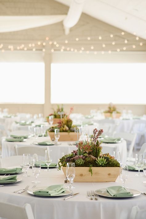 Elope Reception, Sage Green Napkins, Outer Banks Beach Wedding, Wedding Succulents, Kitchen Napkins, Succulent Wedding Centerpieces, Succulent Centerpiece, Beach Wedding Centerpieces, Wedding Mint Green