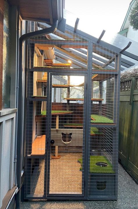 Cat Outdoor Cage, Cat Cage Ideas Outdoor, Cat Coop Ideas, Big Catio Ideas, Enclosed Outdoor Cat Space, Garden Cat House, Cattery Ideas Cat Room Outdoor, Small Catio Ideas Cat, Catios For Cats Plans