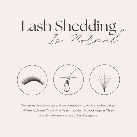 🌟 Lash Shedding is Normal! 🌟 Did you know? Our lashes naturally shed and are constantly growing in different phases. This is a normal part of the lash cycle and nothing to worry about! To keep your lash extensions looking full and gorgeous, it’s essential to book regular fills. This way, you can maintain that stunning, voluminous look all the time. 💁‍♀️✨ Keep your lashes on point by staying on top of your fill appointments! 💖 #yeg #yeglocal #yeglife #yeglashes #yeglashextensions #yeglash #... Lash Extension Graphic, Lash Extensions Pre Appointment, Lash Extensions Promo Ideas, Book Your Appointment Quotes Lashes, Lash Extensions Marketing Social Media, Eyelash Aftercare Instructions, Lash Page Ideas, Lash Extensions Information, Lash Extension Instagram Posts