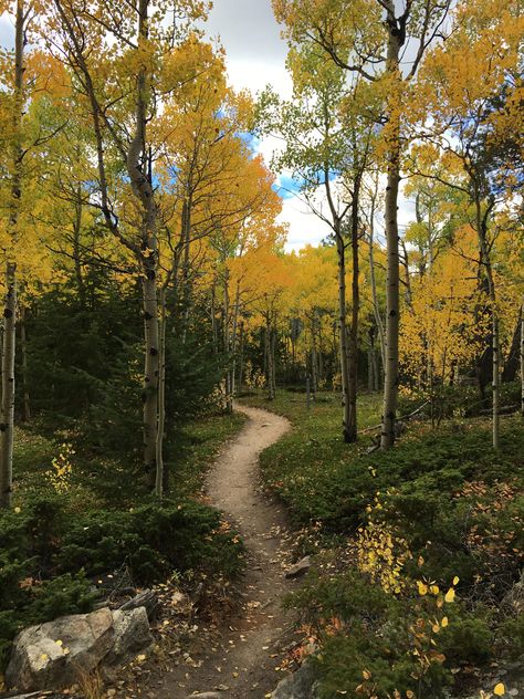 Fall in Golden Gate Canyon State Park Colorado. [OC][4032x3024] - PowderDirtRock | EarthPorn Colorado Fall, Golden Colorado, Colorado Travel, Landscape Pictures, Beautiful Waterfalls, Landscape Photographers, Virtual World, Nature Travel, Golden Gate