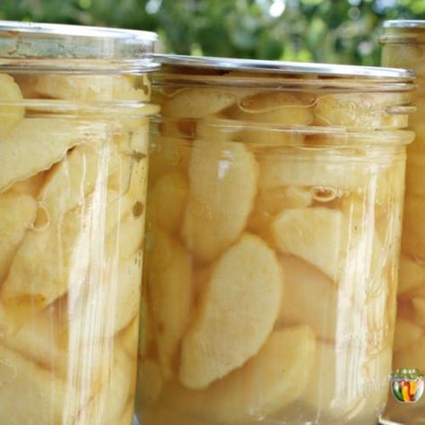 Picked lots of apples? Try canning apples in slices - an easy canning project to preserve your apples into the winter. Get instructions at #SimplyCanning. #canningapples Apple Recipes For Canning, Can Apples, Canning Apple Pie Filling, High Acid Foods, Canning Apples, Making Apple Pie, Orange Peeler, Easy Canning, Canning Fruit