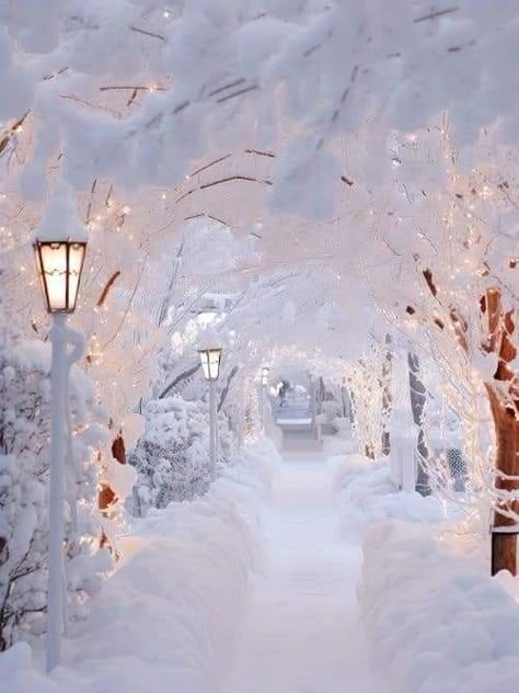 Winter Vibes Aesthetic, Cozy Winter Vibes, Lovely Moments, Beautiful Winter Scenes, Beautiful Snow, Christmas Scenery, Nature Wallpapers, Pretty Phone Wallpaper, Aesthetic Winter