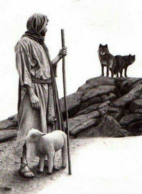 Shepherd lamb wolf Sheep Pictures, Christian Pics, 7 Archangels, Blessed Trinity, Woord Van God, Ayat Alkitab, African Artists, The Good Shepherd, Biblical Art