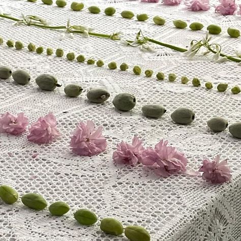 Gohar World on Instagram: "First signs of spring: green almonds, fresh chickpeas, english peas, and fava beans laid across a handmade Old World lace tablecloth. Refresh your linen collection for spring with tablecloths, placemats, napkins, coasters, doilies, and a celebratory bottle apron from Gohar World’s classic collection. 🌸 Team favorites: the Embroidered Lace Tablecloth comes complete with matching napkins for hosting, while the Lace Coasters with Pearls add instant elegance to any tab Gohar World, Cottage Core Tablecloth, Modern Embroidered Tablecloth, White Embroidered Tablecloth, Embroidered Linen Tablecloth, Minimalist Food, First Signs Of Spring, English Peas, Vintage Embroidered Tablecloth