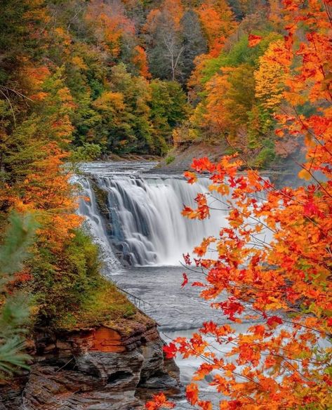 Downton Abbey Castle, Spring Witch, Winter Witch, Tree Wallpaper Iphone, Autumn Waterfalls, Letchworth State Park, Autumn Witch, Christmas And Winter, Beautiful Art Pictures