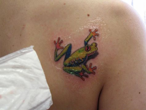 Frog Tattoo For Women, Tattoos For Women Cat, Red Eye Tree Frog, Real Frog, Family Name Tattoos, Tree Frog Tattoos, Art Frog, Frog Tattoo, Favorite Tattoos