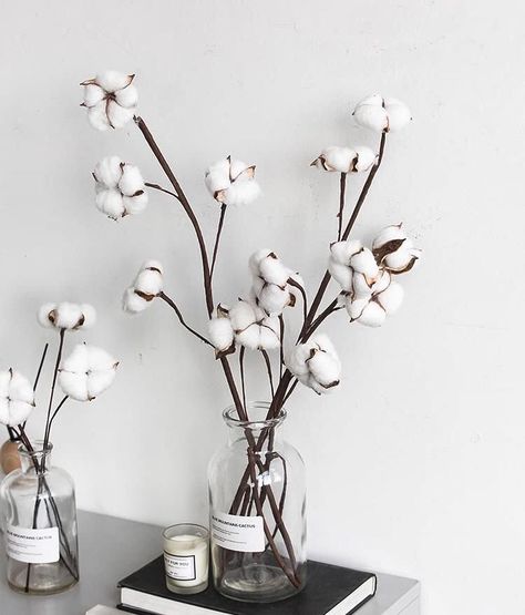 Cotton Decor, Cotton Stems, Desain Editorial, Cotton Flower, Floral Arrangements Diy, Dream Bathrooms, Deco Floral, Silk Flowers, Artificial Flowers