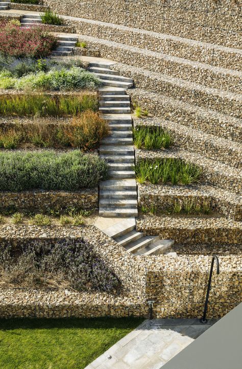 Gallery of Happy House in Begur / SALA FERUSIC Architects - 4 Terraced Landscaping, Landscape Stairs, Landscape Elements, Happy House, Garden Landscape Design, Green Roof, Terrace Garden, Landscape Walls, Landscape Lighting