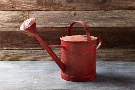 . Milk Can Decor, Vintage Watering Can, Diy Sale, Red Cottage, Garden Junk, Watering Cans, Kitchenware Store, Red Retro, Potting Shed