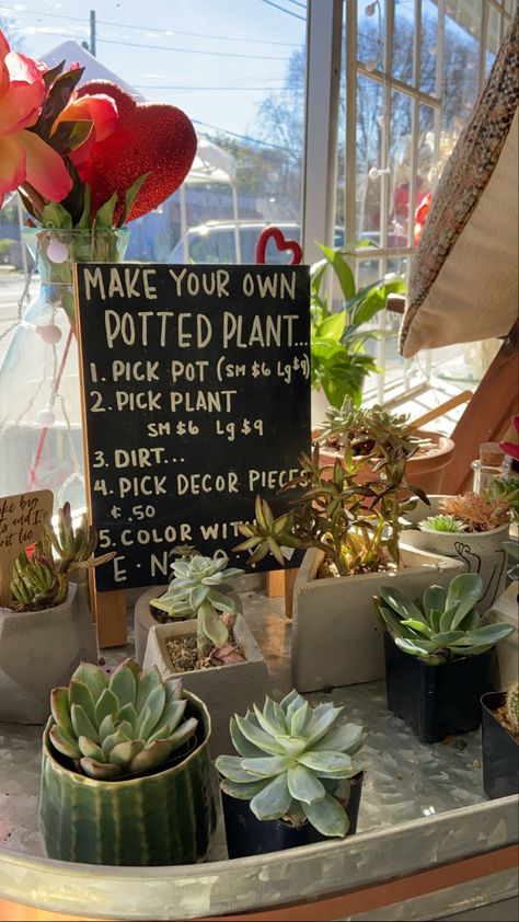 Plant Shop Ideas Inspiration, Small Plant Business, Plant Store Ideas, Plant Shop Ideas, Plant Trailer, Succulent Bar, Plant Bar, Plant Shops, Succulent Display