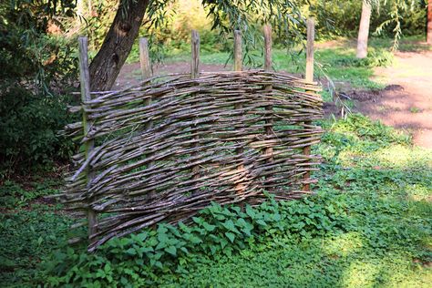 How To Make a Wattle Fence With Branches Branch Fence Ideas, Branch Fence, Wattle Fencing, Rustic Trellis, Wattle Fence, Livestock Fence, Forest Ideas, Fence Planning, Building A Trellis