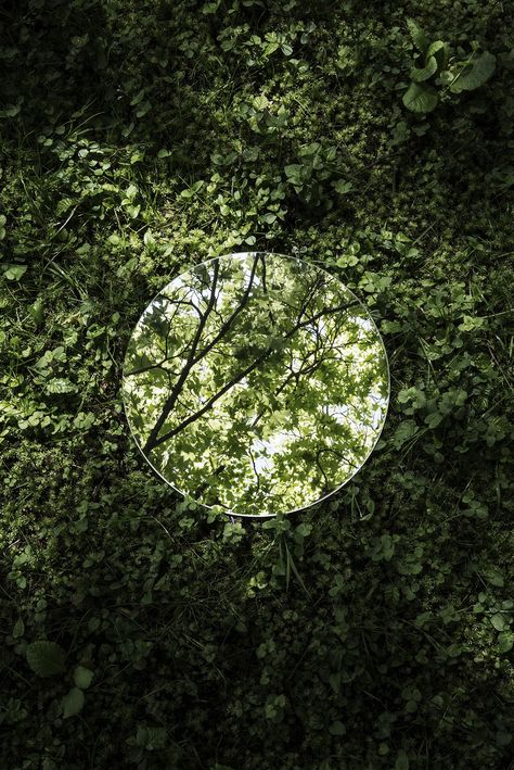 Abstracted Dual Landscapes Created Using Cleverly Placed Mirrors Reflections In Nature, Artistic Nature Photography, Mirror In Nature, Sebastian Magnani, Reflection Photographers, Reflection Aesthetic, Tree Mirror, Spherical Mirror, Nature Reflection