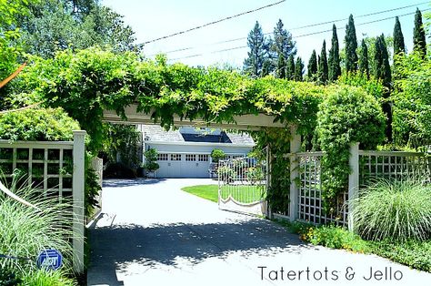 trellis over the driveway, genius way of hiding the front fence and driveway gate. Entrance Pergola, Informal Gardens, Plant Climbers, Pergola Trellis, Cottage Landscape, Pergola Carport, Garden Pergola, Cheap Pergola, Gate Ideas