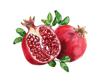 How To Open Pomegranate, Pomegranate Drawing, Pomegranate Watercolor, Pomegranate Art, Fruit Clipart, Restaurant Poster, Kawaii Fruit, Fruit Wall Art, Pomegranate Fruit