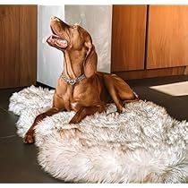 Luxury Pet Beds, Chicken For Dogs, Memory Foam Dog Bed, Orthopedic Dog Bed, Dog Bed Large, Luxury Pet, Fluffy Animals, Large Animals, Pet Beds