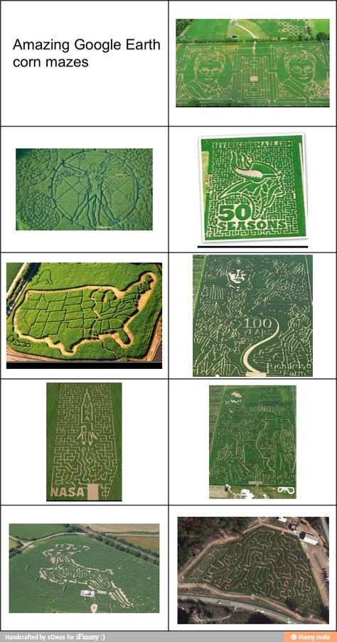 Mazes Haunted Corn Maze, Maze Art, Maze Garden, Pumpkin Patch Ideas, Amazing Maze, Agriculture Design, Google Art, Labyrinth Maze, Rec Center