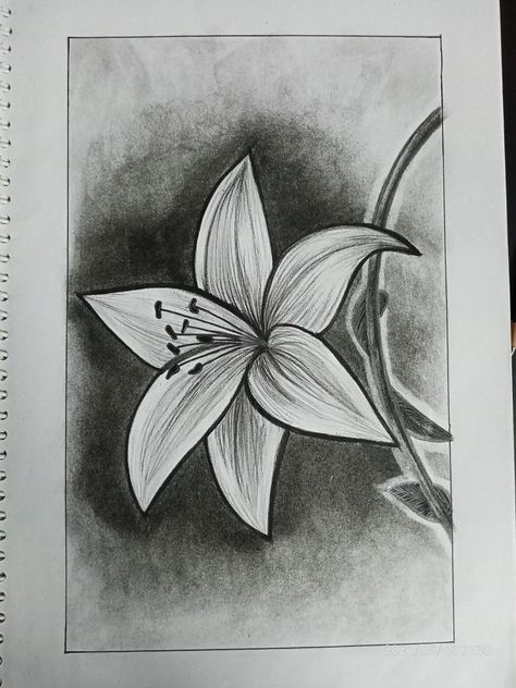 art arte art drawings art ideas arts artes artful art aesthetic art anime art animation art animals arte anime art drawing artfulness arteritis arter art idea artful idea art sg arte aesthetic artful animals art animal arte animal art s arts drawing Flower Drawing With Shading, Charcoal Sketches Easy Step By Step, Flower Sketches Pencil Shading, Charcoal Flower Drawing, Charcoal Pencil Sketches, Charcoal Art Easy, Charcoal Pencil Drawings, Flower Sketching, Sunflower Drawing Easy