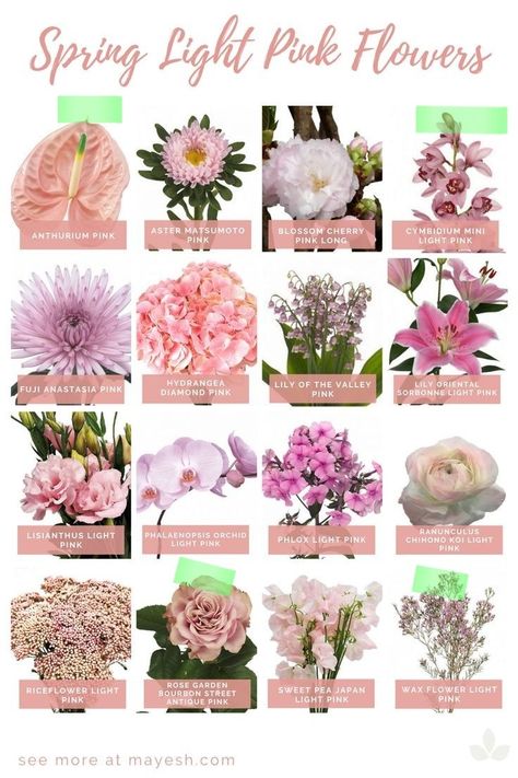 Spring Season Flowers, Flower Recipe, Flower Dictionary, Flower Types, Just A Taste, Wax Flower, Summer Wedding Bouquets, List Of Flowers, Flower Guide