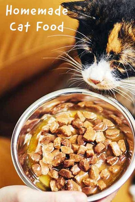 Homemade Cat Food – Is It The Right Choice For You? Homemade Cat Treats Recipes, Cat Food Recipes, Diy Cat Food, Healthy Cat Food, Homemade Cat Food, Best Cat Food, Cat Nutrition, Kitten Food, Cat Food Bowl