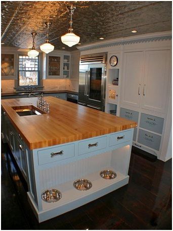 Dog Bowls In Kitchen, Built In Dog Bowls, Redoing Kitchen Cabinets, Redoing Kitchen, Diy Makeover Ideas, Pet Friendly Furniture, Redo Kitchen Cabinets, Smart School House, Kitchen Redesign