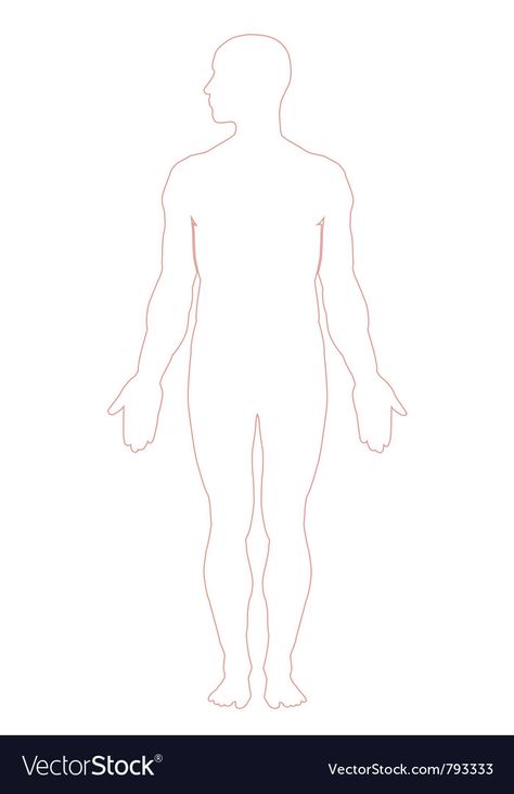 Human Body Outline, Human Body Silhouette, Event Planner Logo, Body Part Drawing, Medicine Notes, Body Outline, Human Organ, Body Systems, Communication Design