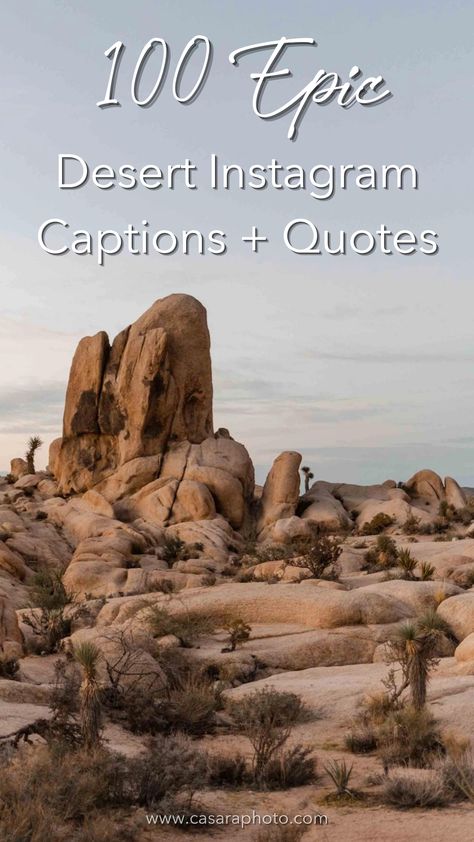 Desert Aesthetic Caption, Desert Love Quotes, Joshua Tree Quotes, Quotes About The Desert, Desert Sayings, Desert Quotes Instagram, Desert Captions For Instagram, Desert Quotes, Desert Quote