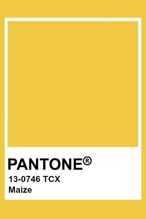 Pantone Maize Pantone Tcx, Yellow Pantone, Pantone Swatches, Pantone Palette, Pantone Colour Palettes, Pantone Colors, Paint Swatches, Color Analysis, Colour Board