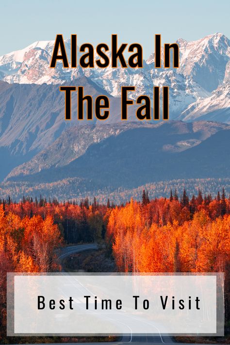 Picture of Alaska in the fall What To Bring Camping, Large Crowd, Alaska Cruise, Alaska Travel, Fall Travel, Fall Leaves, In The Fall, Open Air, Time Of The Year