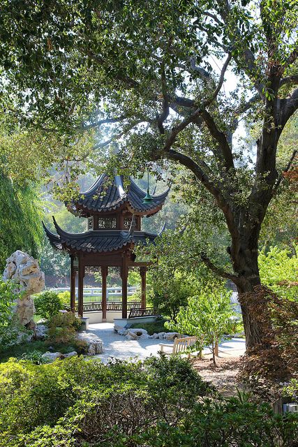 oak and chinese garden | Huntington Library & Gardens Chinese Cottagecore, Chinese Library, Library Garden, Landscape Concept Art, China Aesthetic, Japanese Rock Garden, Wen Ning, Thousand Autumns, Japan Temple