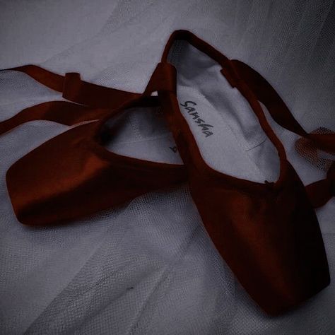 Brown Ballet Shoes, Red Ballet Shoes, Burgundy Aesthetic, Red Ballerinas, Ballet Pointe Shoes, Red Princess, 12 Dancing Princesses, Princess Core, Ballet Photography