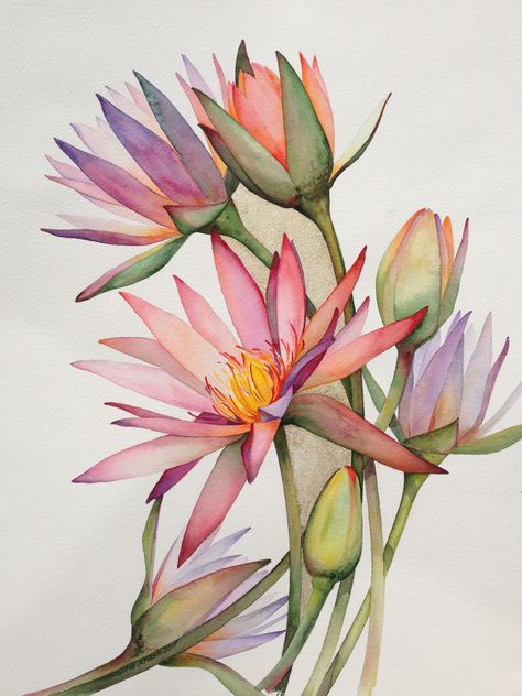 Watercolor Flower Art, 수채화 그림, Watercolor Flowers Paintings, Watercolor Art Lessons, Botanical Painting, Botanical Drawings, Flower Art Painting, Botanical Flowers, Diy Art Painting