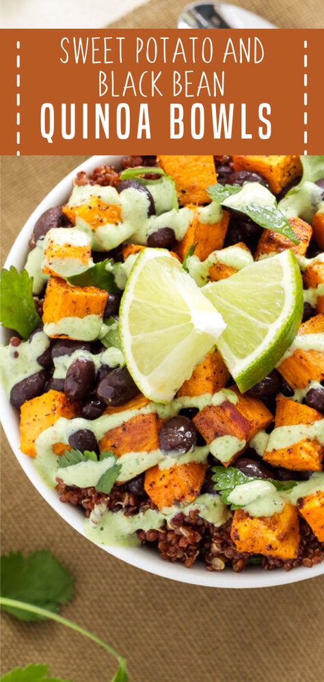 A meatless meal for your weekly menu plan! Sweet Potato and Black Bean Quinoa Bowls are seasoned with some southwest spices and drizzled in cilantro cream. You won't get enough of these vegetarian bowls packed with protein, carbs, and vitamins! Save this and try it! Sweet Potato And Black Bean, Vegetarian Bowls, Weekly Menu Plan, Quinoa Bowls, Meatless Meal, Black Bean Quinoa, Menu Plan, Weekly Menu, Black Bean