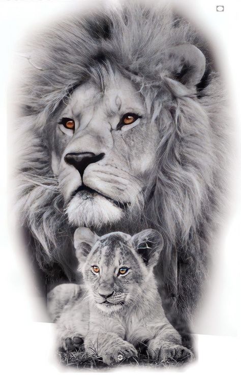 Cool Animal Tattoos, Family Sketch, Animal Tattoo Ideas, Lion Family, Flash Tattoo Designs, Lion Tattoo, Animal Tattoos, Exotic Pets, Flash Tattoo