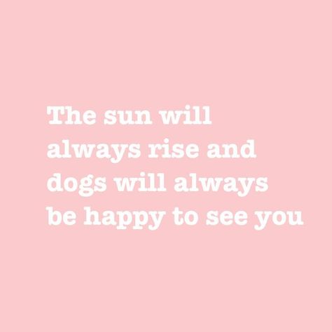 The sun will always rise and dogs will always be happy to see you. Always Be Happy, Happy Thoughts, Note To Self, Pretty Words, Inspirational Quotes Motivation, Beautiful Quotes, Happy Quotes, Beautiful Words, Be Happy