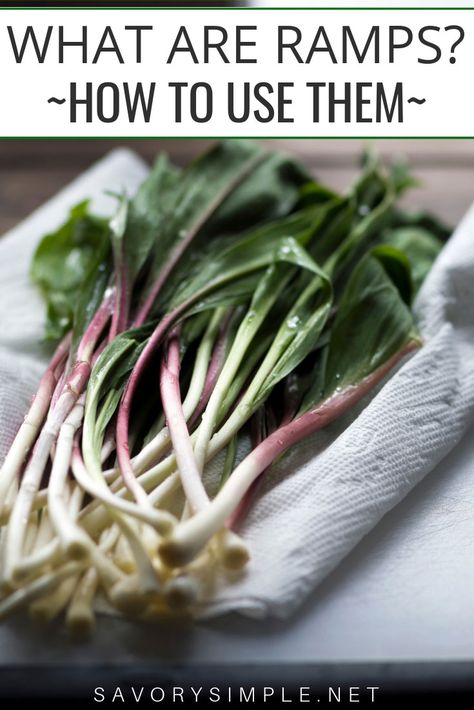 Wild Ramps, Ramp Pesto, Scallions Recipes, Wild Garlic, Wild Edibles, Pesto Recipe, Wild Food, Recipes For Beginners, Raw Food Recipes