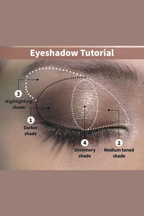 Eyeshadow Styles Chart, Eye Shadow Looks For Hooded Eyes, Eyeshadow Diagram, Eye Shadowing, Makeup Looks Editorial, Eyeshadow Guide, Goth Makeup Tutorial, Makeup Order, Beginners Eye Makeup