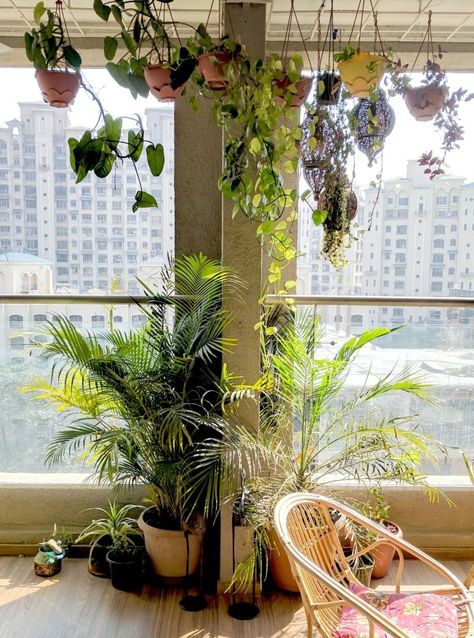 A Balcony Garden In Mumbai - Terrace Reveal (6) Balcony Makeover, Plant House, Fantasy Rooms, Dream House Rooms, House Inside, Aesthetic Rooms, Apartment Decor Inspiration, Ceramics Projects, Makeover Ideas