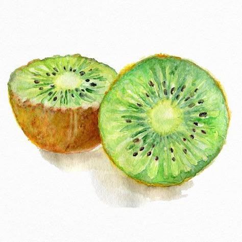 Fruit Drawing, Fruit Watercolor, Fruits Drawing, Watercolor Food, Watercolor Fruit, Food Painting, Food Home, Watercolor Paintings Easy, Kiwi Fruit