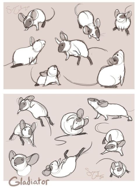 Maus Illustration, Creature Drawings, 캐릭터 드로잉, Arte Sketchbook, Animal Sketches, Arte Animal, 영감을 주는 캐릭터, Cute Animal Drawings, Rodents