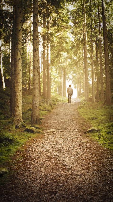 Man walking up path towards the light in magic forest. A man walking a path up a , #Affiliate, #light, #magic, #path, #Man, #walking #ad Enjoyable Exercise, Magical Forest Painting, Path Drawing, Person Walking In Forest, Walking Through Forest, Man In Forest, Walking In Forest, Walking Through Forest Illustration, Path In Forest